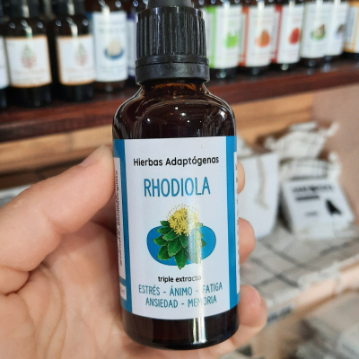 Adaptogeno rhodiola