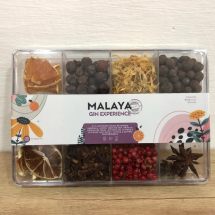 Gin experience - experiencia completa mix 7